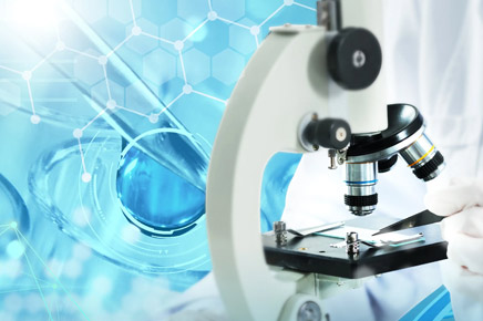 功能陶瓷与结构陶瓷有什么区别呢？